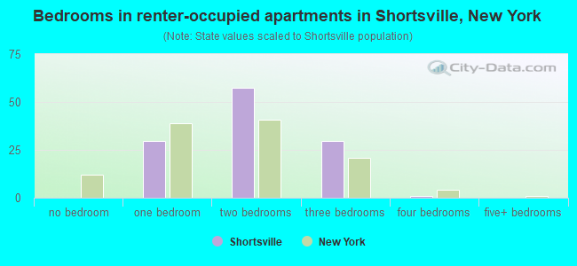 Bedrooms in renter-occupied apartments in Shortsville, New York
