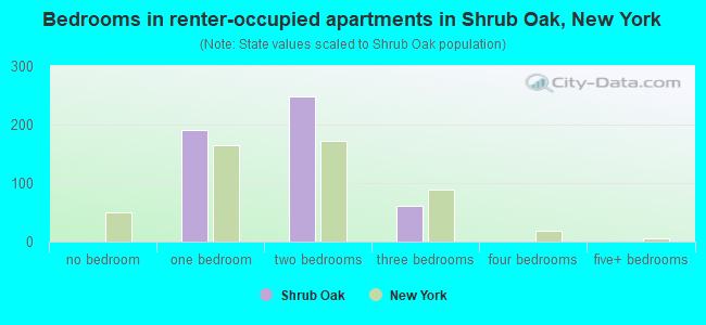 Bedrooms in renter-occupied apartments in Shrub Oak, New York