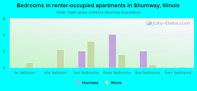 Bedrooms in renter-occupied apartments in Shumway, Illinois