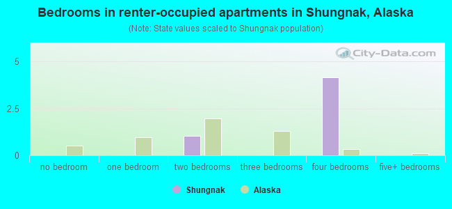 Bedrooms in renter-occupied apartments in Shungnak, Alaska