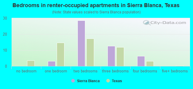 Bedrooms in renter-occupied apartments in Sierra Blanca, Texas
