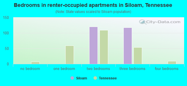 Bedrooms in renter-occupied apartments in Siloam, Tennessee