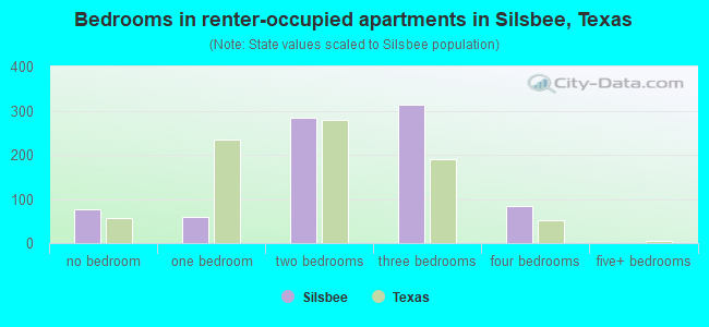 Bedrooms in renter-occupied apartments in Silsbee, Texas