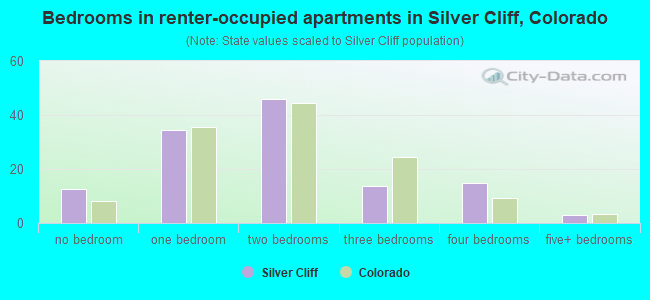 Bedrooms in renter-occupied apartments in Silver Cliff, Colorado