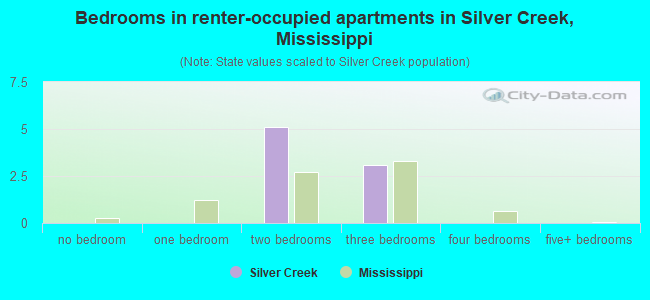 Bedrooms in renter-occupied apartments in Silver Creek, Mississippi