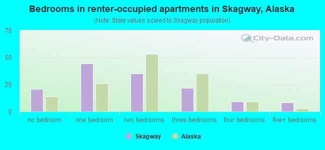 Bedrooms in renter-occupied apartments in Skagway, Alaska