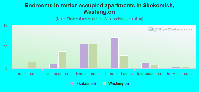 Bedrooms in renter-occupied apartments in Skokomish, Washington