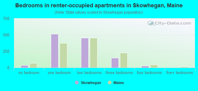 Bedrooms in renter-occupied apartments in Skowhegan, Maine