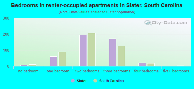 Bedrooms in renter-occupied apartments in Slater, South Carolina