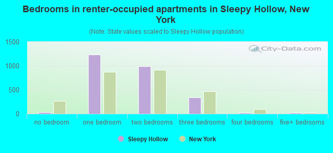 Bedrooms in renter-occupied apartments in Sleepy Hollow, New York