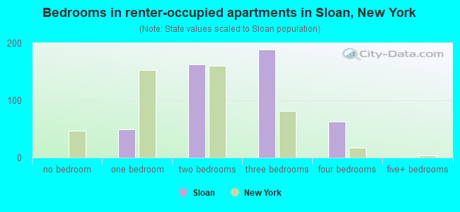 Bedrooms in renter-occupied apartments in Sloan, New York