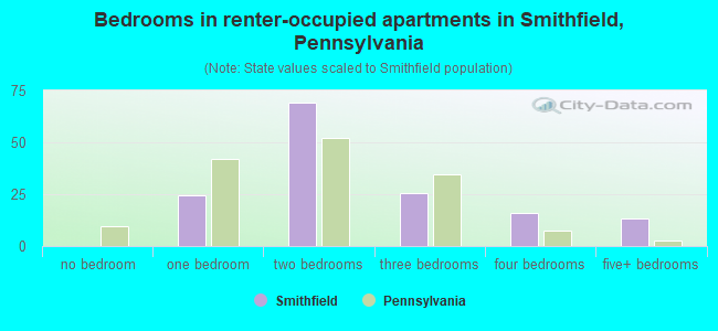 Bedrooms in renter-occupied apartments in Smithfield, Pennsylvania