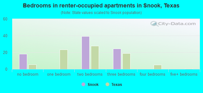 Bedrooms in renter-occupied apartments in Snook, Texas