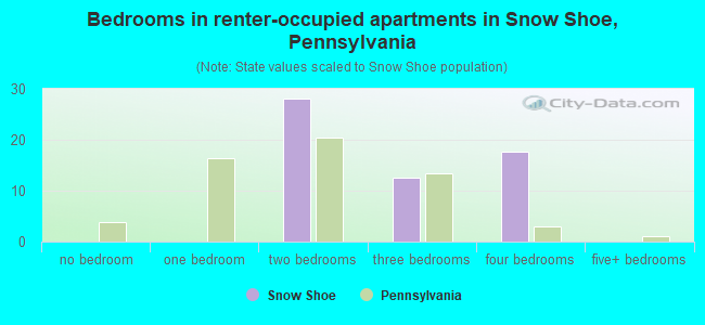 Bedrooms in renter-occupied apartments in Snow Shoe, Pennsylvania