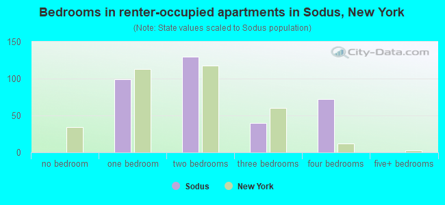 Bedrooms in renter-occupied apartments in Sodus, New York