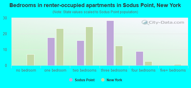 Bedrooms in renter-occupied apartments in Sodus Point, New York