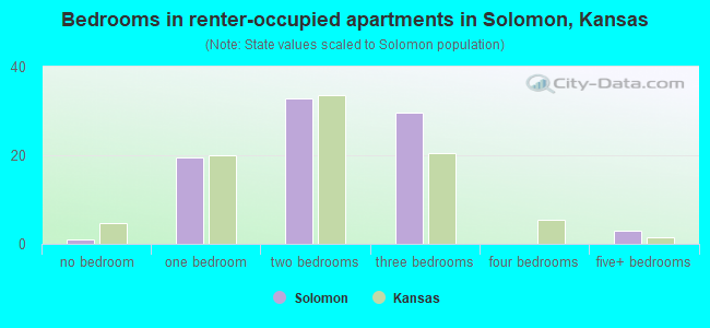 Bedrooms in renter-occupied apartments in Solomon, Kansas