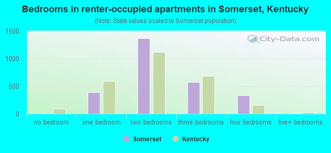 Bedrooms in renter-occupied apartments in Somerset, Kentucky
