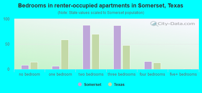 Bedrooms in renter-occupied apartments in Somerset, Texas