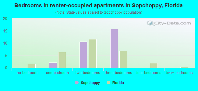 Bedrooms in renter-occupied apartments in Sopchoppy, Florida