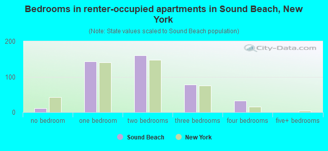 Bedrooms in renter-occupied apartments in Sound Beach, New York