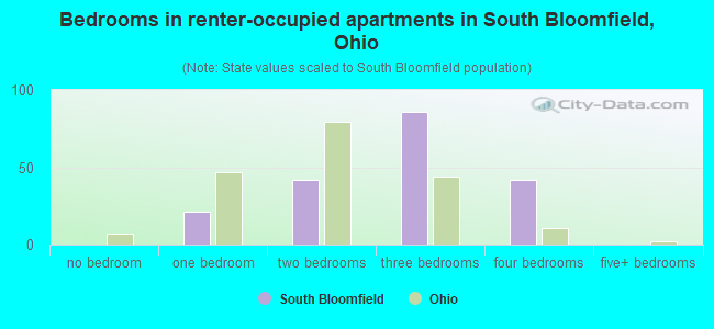 Bedrooms in renter-occupied apartments in South Bloomfield, Ohio