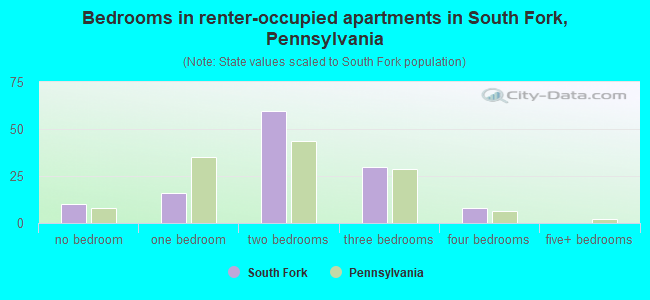 Bedrooms in renter-occupied apartments in South Fork, Pennsylvania