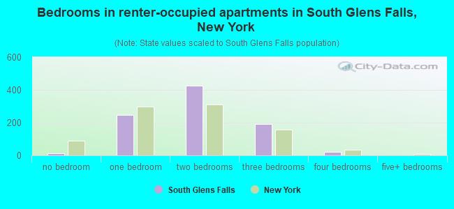 Bedrooms in renter-occupied apartments in South Glens Falls, New York