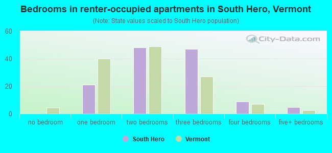 Bedrooms in renter-occupied apartments in South Hero, Vermont