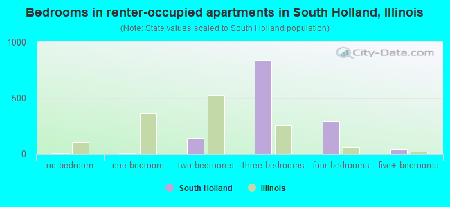 Bedrooms in renter-occupied apartments in South Holland, Illinois