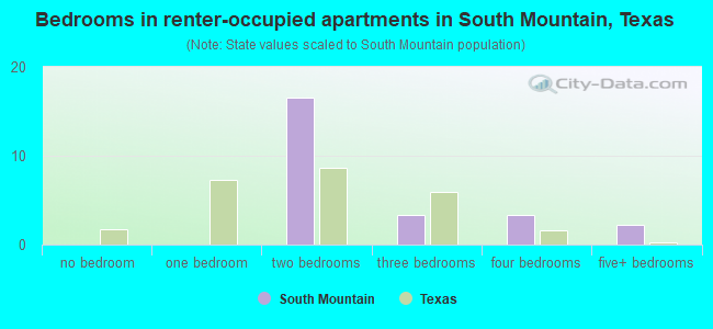 Bedrooms in renter-occupied apartments in South Mountain, Texas
