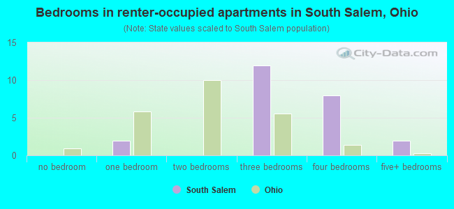 Bedrooms in renter-occupied apartments in South Salem, Ohio