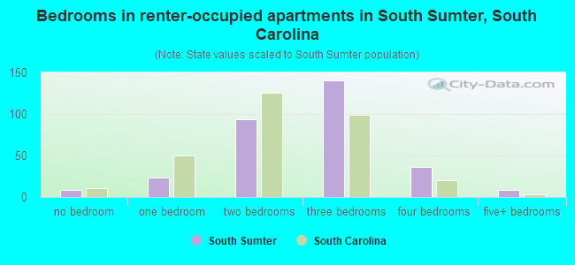 Bedrooms in renter-occupied apartments in South Sumter, South Carolina
