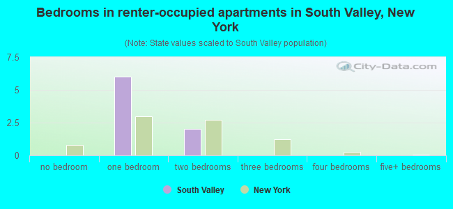 Bedrooms in renter-occupied apartments in South Valley, New York