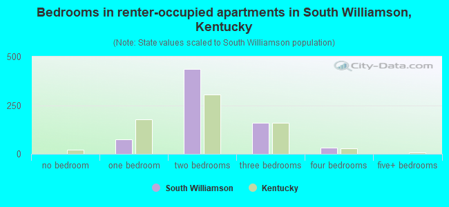 Bedrooms in renter-occupied apartments in South Williamson, Kentucky