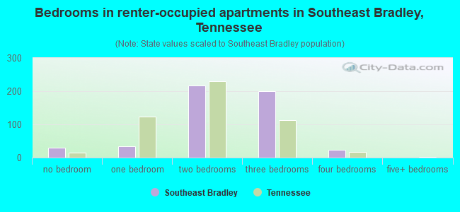 Bedrooms in renter-occupied apartments in Southeast Bradley, Tennessee