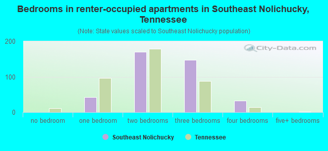 Bedrooms in renter-occupied apartments in Southeast Nolichucky, Tennessee