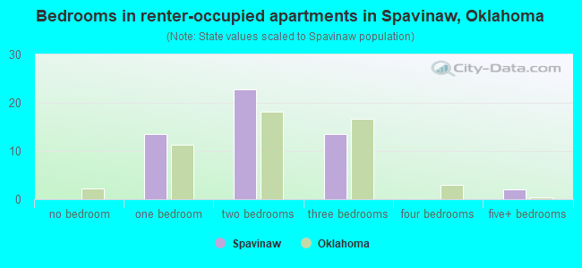 Bedrooms in renter-occupied apartments in Spavinaw, Oklahoma