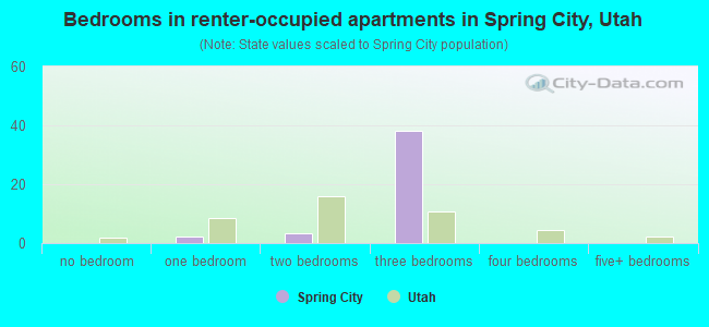 Bedrooms in renter-occupied apartments in Spring City, Utah