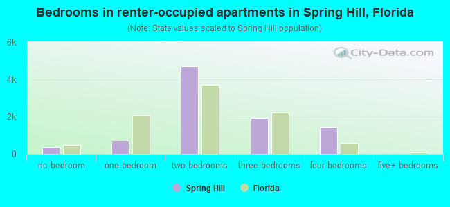 Bedrooms in renter-occupied apartments in Spring Hill, Florida