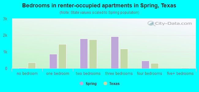 Bedrooms in renter-occupied apartments in Spring, Texas