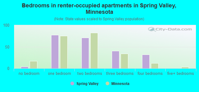 Bedrooms in renter-occupied apartments in Spring Valley, Minnesota