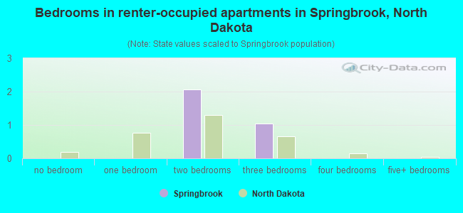 Bedrooms in renter-occupied apartments in Springbrook, North Dakota