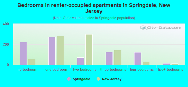 Bedrooms in renter-occupied apartments in Springdale, New Jersey
