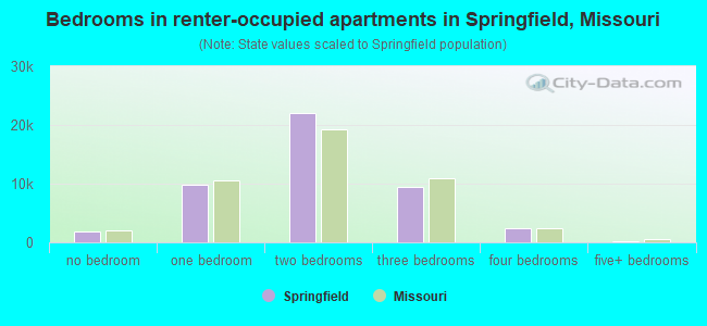 Bedrooms in renter-occupied apartments in Springfield, Missouri