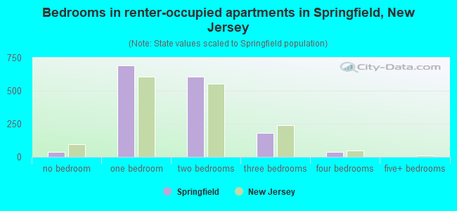 Bedrooms in renter-occupied apartments in Springfield, New Jersey