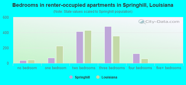 Bedrooms in renter-occupied apartments in Springhill, Louisiana