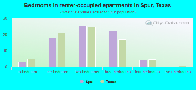 Bedrooms in renter-occupied apartments in Spur, Texas
