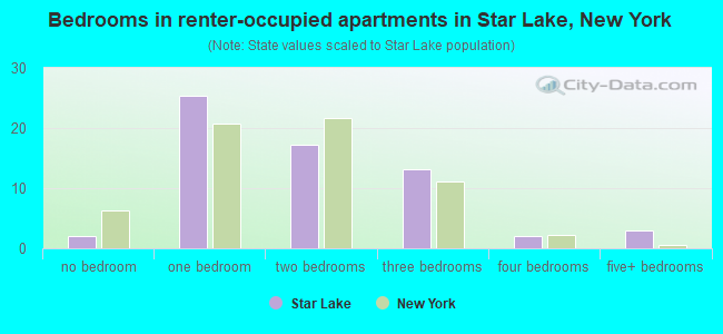 Bedrooms in renter-occupied apartments in Star Lake, New York