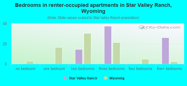 Bedrooms in renter-occupied apartments in Star Valley Ranch, Wyoming